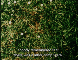 vlcsnap-2016-09-09-11h22m03s009