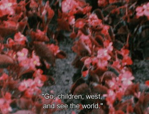 vlcsnap-2016-09-09-12h38m20s167