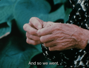 vlcsnap-2016-09-09-12h38m25s553